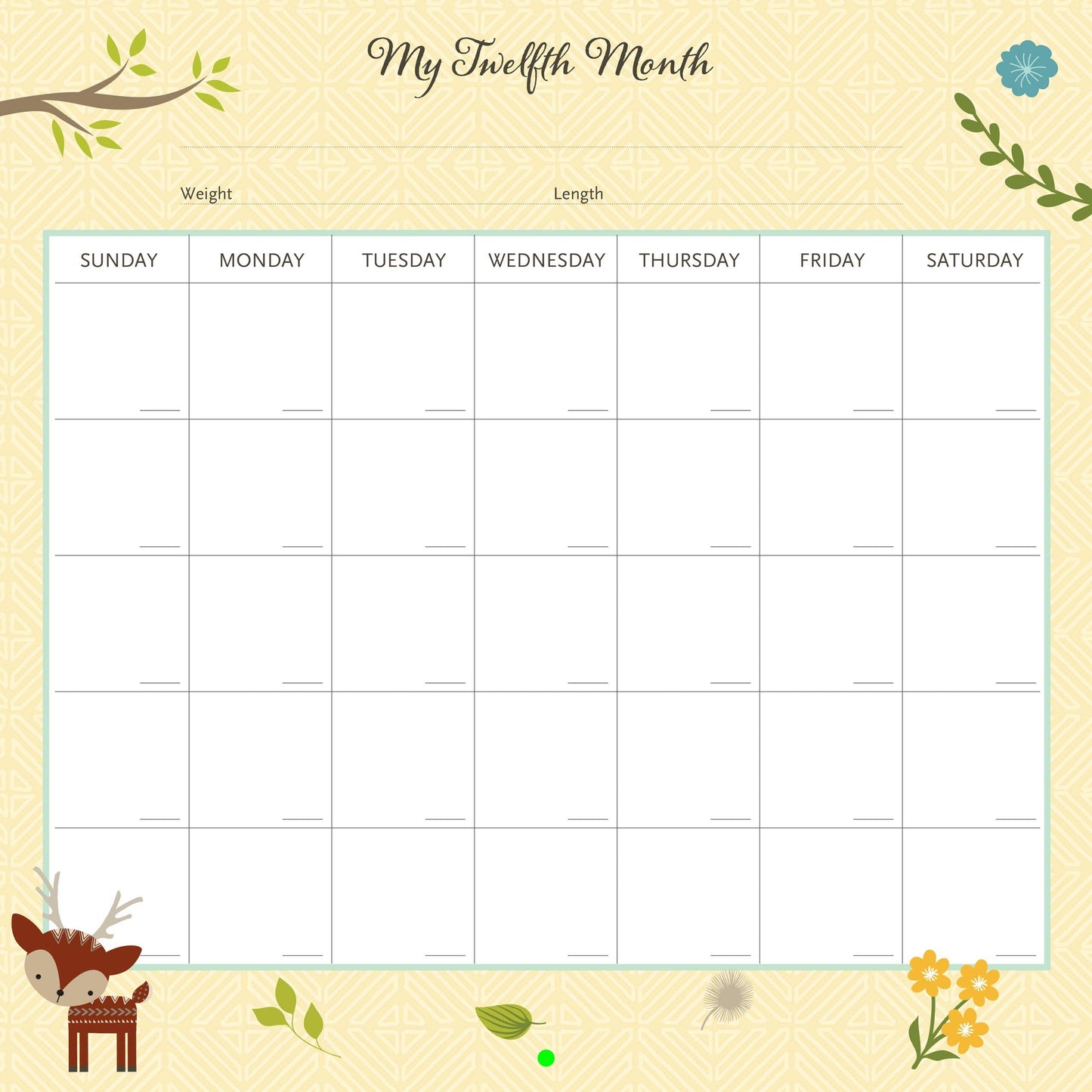 My Life as a Baby: A First Year Calendar - Woodland