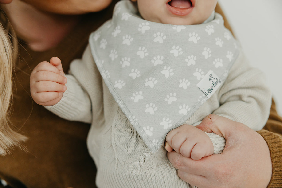 Bandana Bibs - Rufus