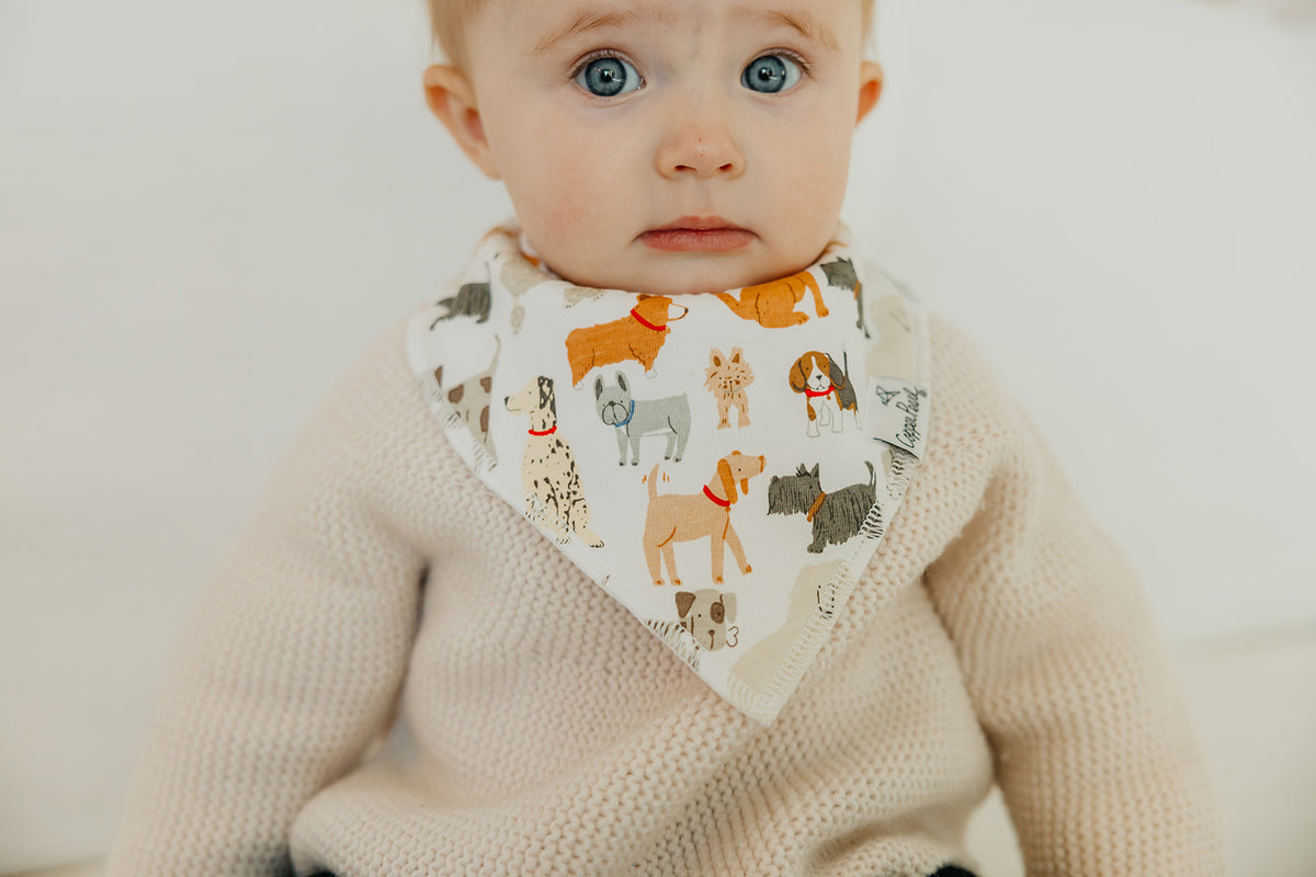 Bandana Bibs - Rufus