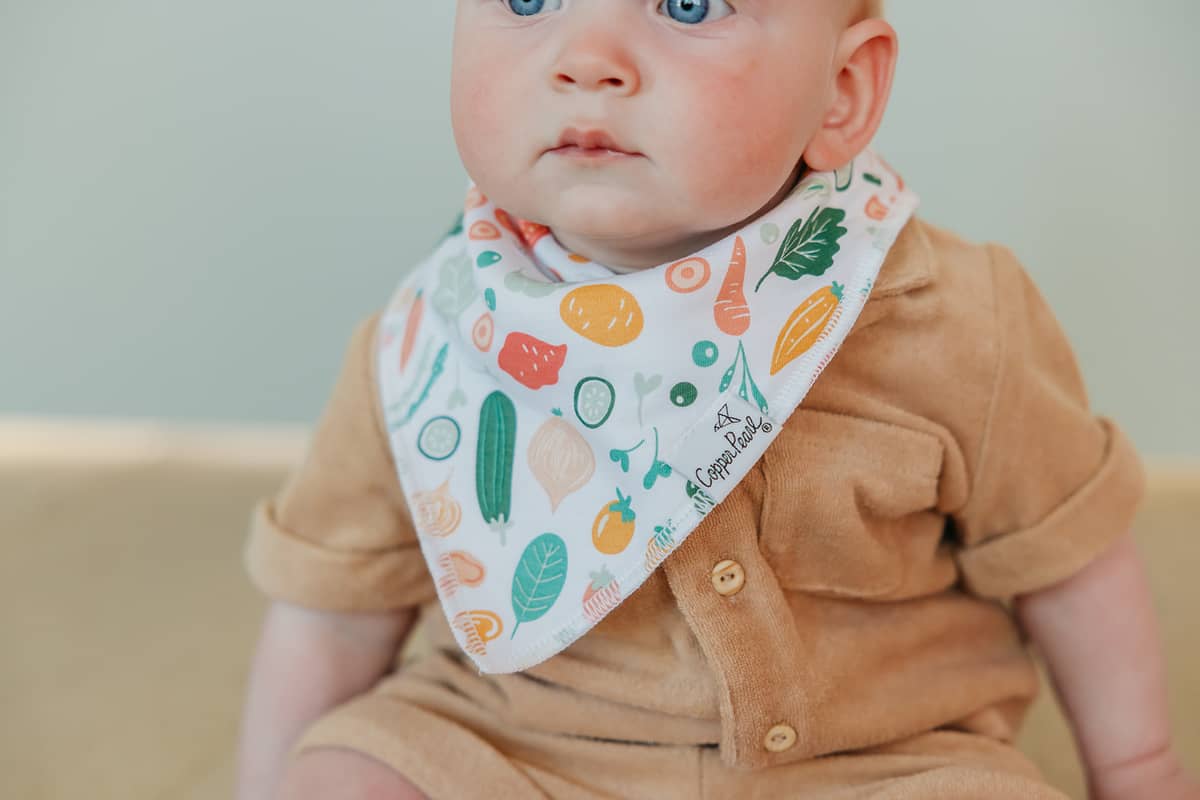 Bandana Bibs - Veggies