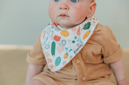 Bandana Bibs - Veggies