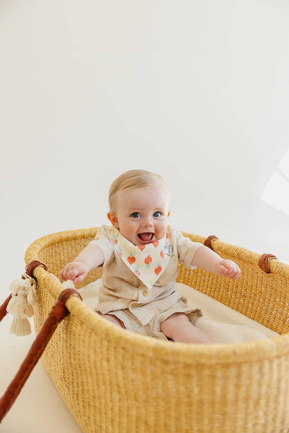 Bandana Bibs - Veggies