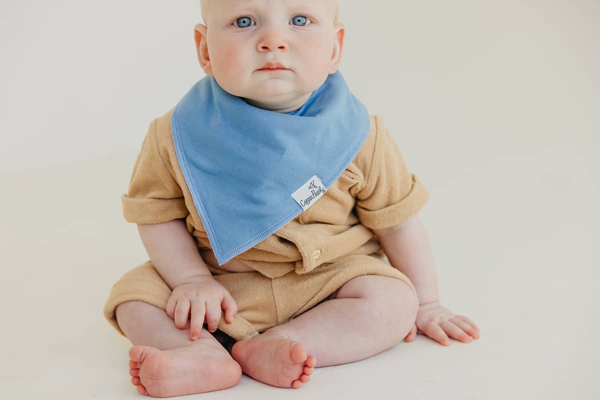 Bandana Bibs - Veggies