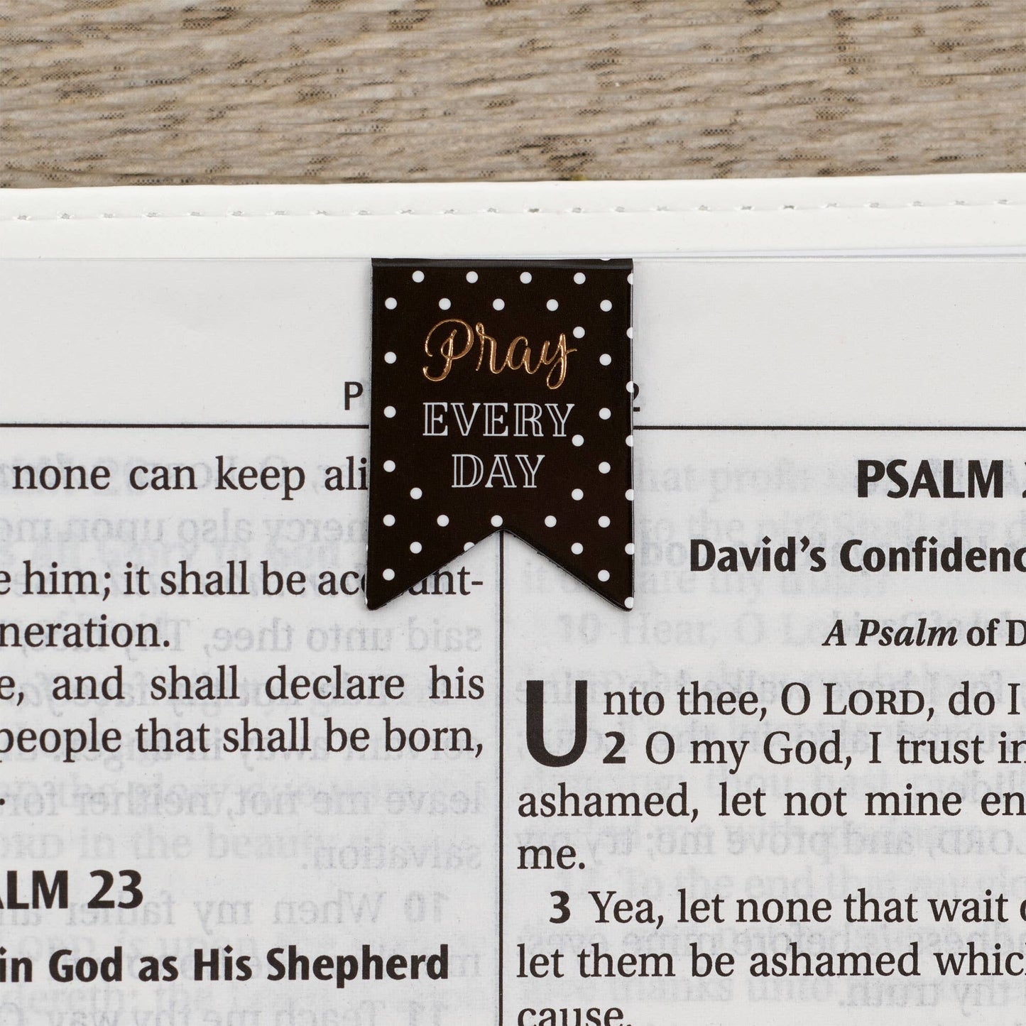 Magnetic Bookmark Set Pray Every Day